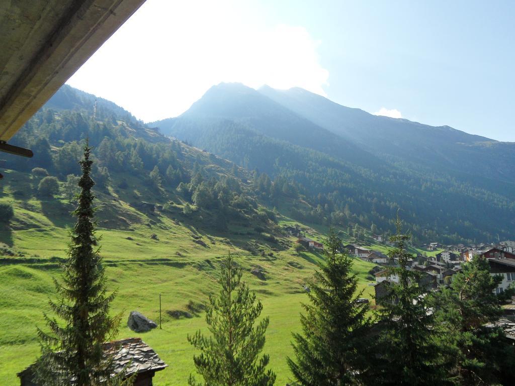 Appartements Monte Rosa تاش الغرفة الصورة